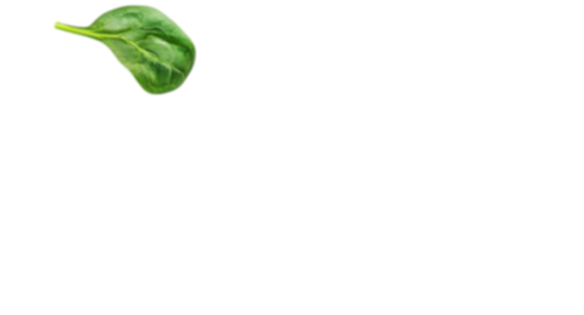 Imagen de una hoja de espinaca